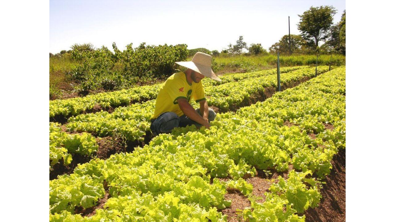 Sefaz reduz tempo para liberação de inscrição estadual de micro e produtores rurais