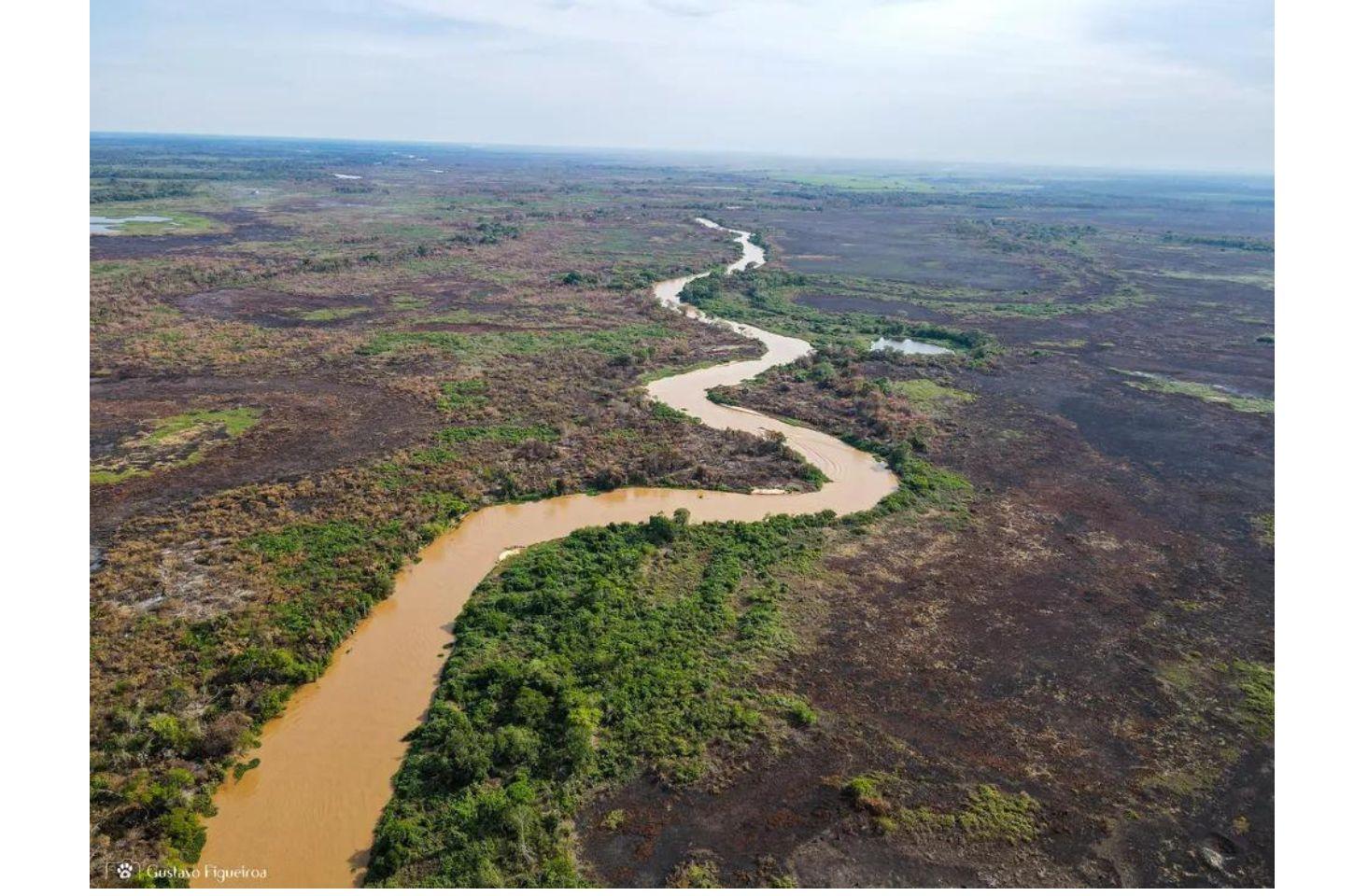 Estudo aponta que Pantanal é o bioma que mais sofreu com incêndios em quatro décadas