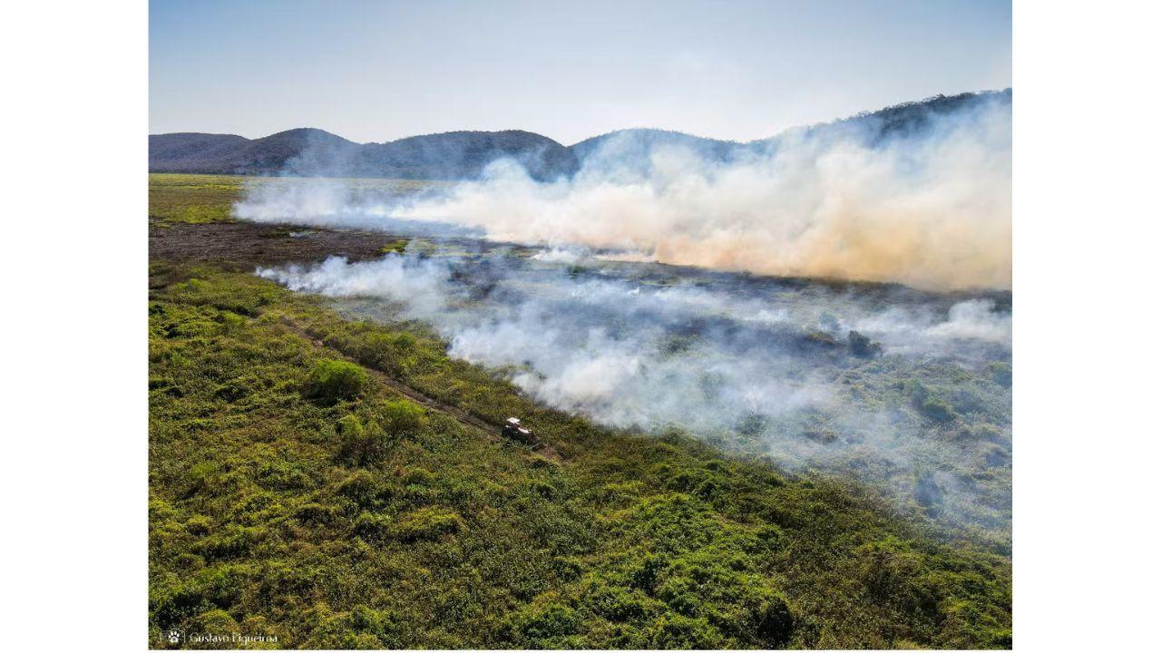 Organizações enviam carta pedindo ajuda internacional para combate de incêndios no Pantanal de MT e MS