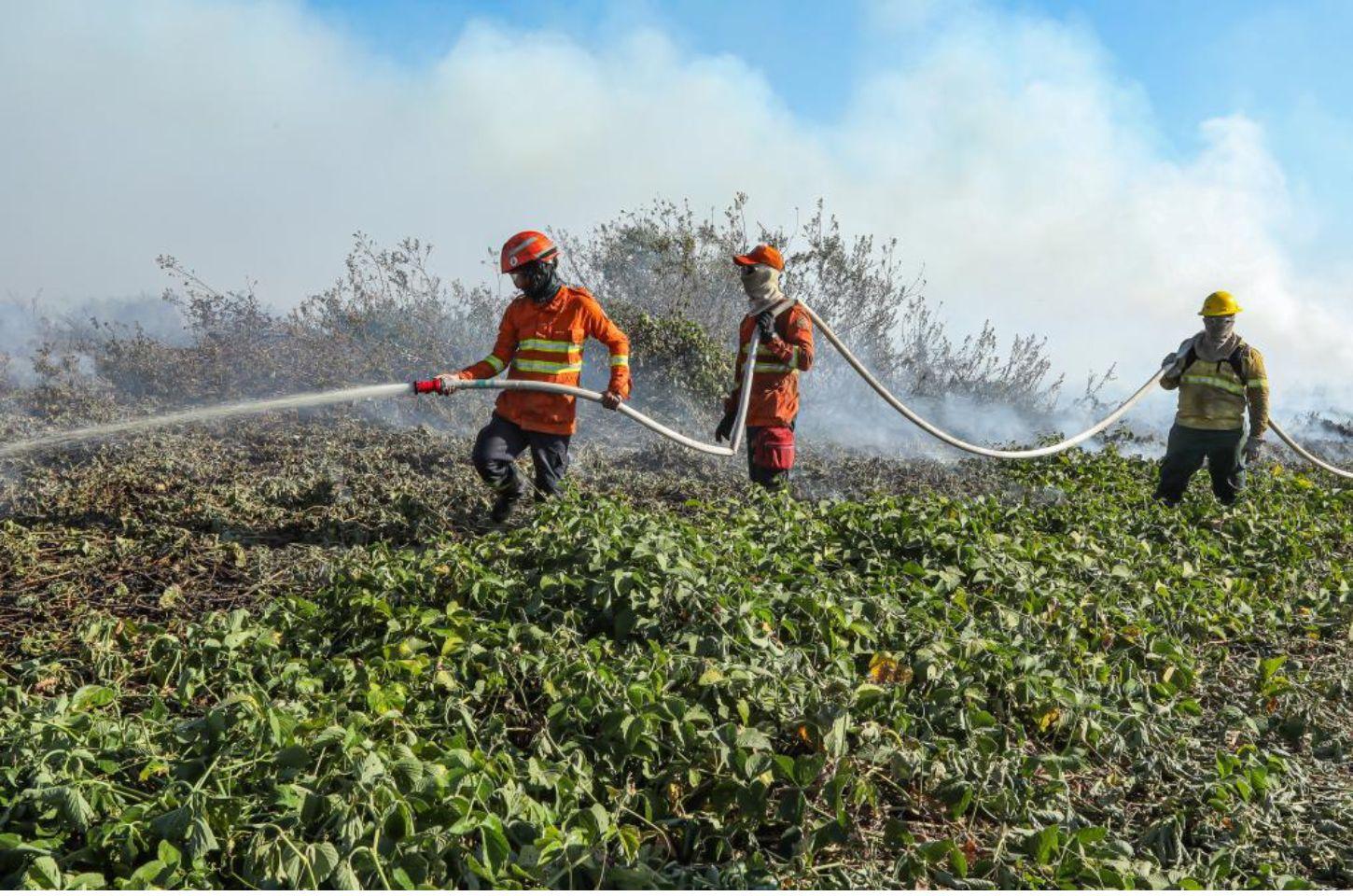 Bombeiros de MT combatem 39 incêndios no Estado nesta quarta-feira (28), 190 homens em campo.