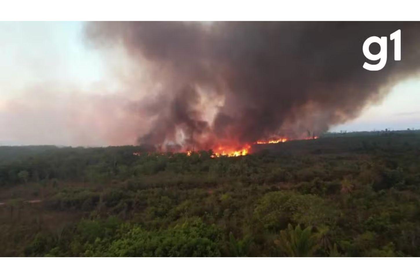 Brigadista que desapareceu enquanto combatia incêndio é encontrado morto carbonizado no Xingu em MT