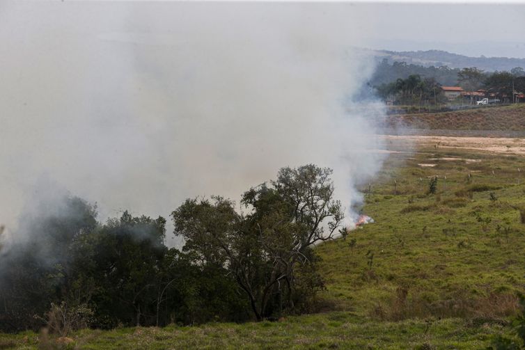 Fundo auxiliará produtores rurais atingidos por incêndios em SP