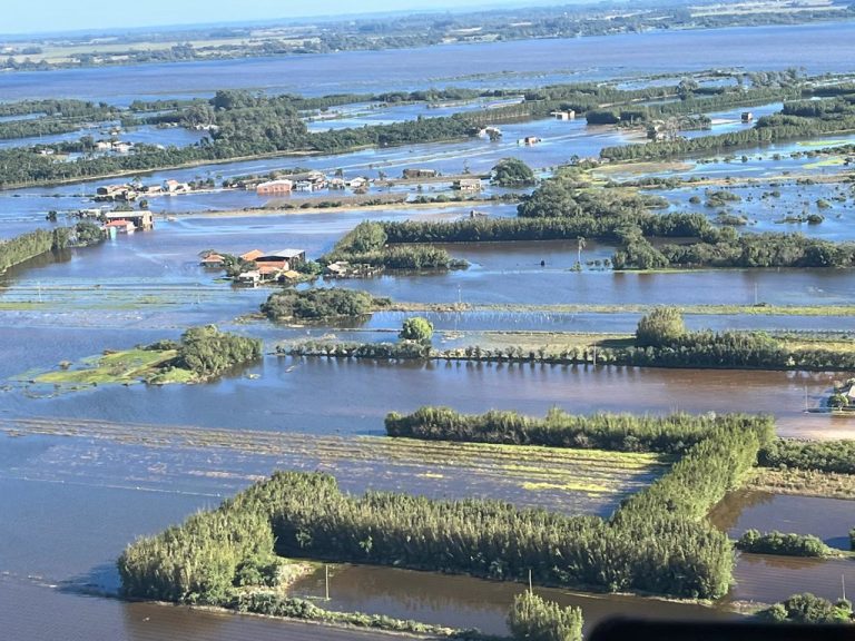 Medida provisória garante repactuação de dívidas rurais no Rio Grande do Sul