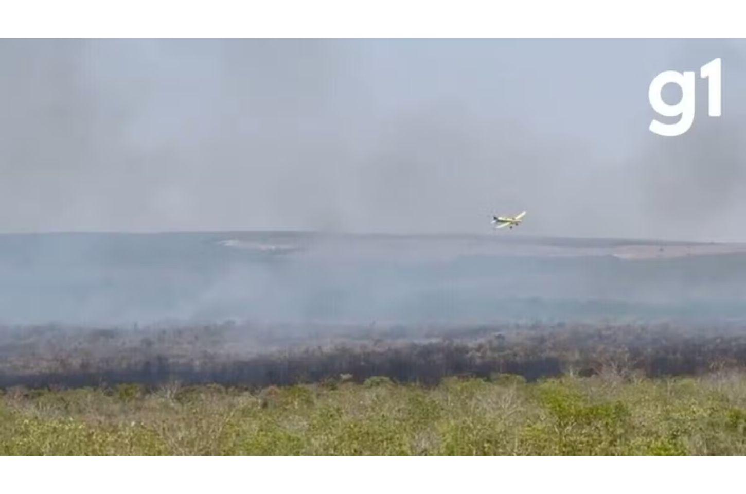 Produtores rurais contratam avião para combater incêndio em área de Cerrado que já dura 1 mês em MT