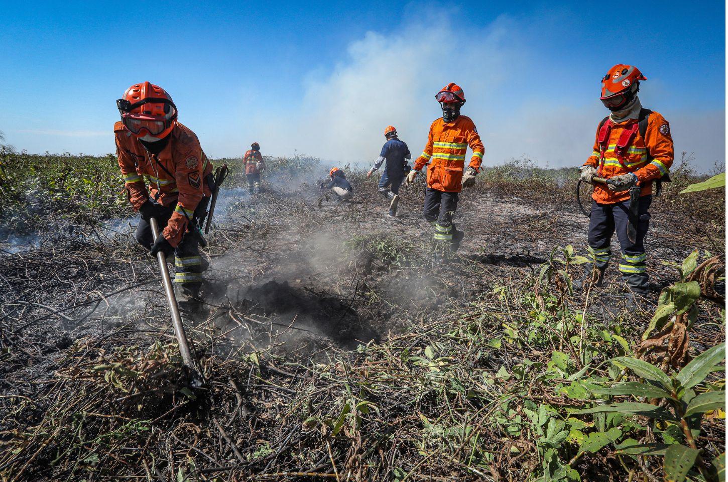 Corpo de Bombeiros combate 39 incêndios florestais em Mato Grosso nesta terça-feira (03)