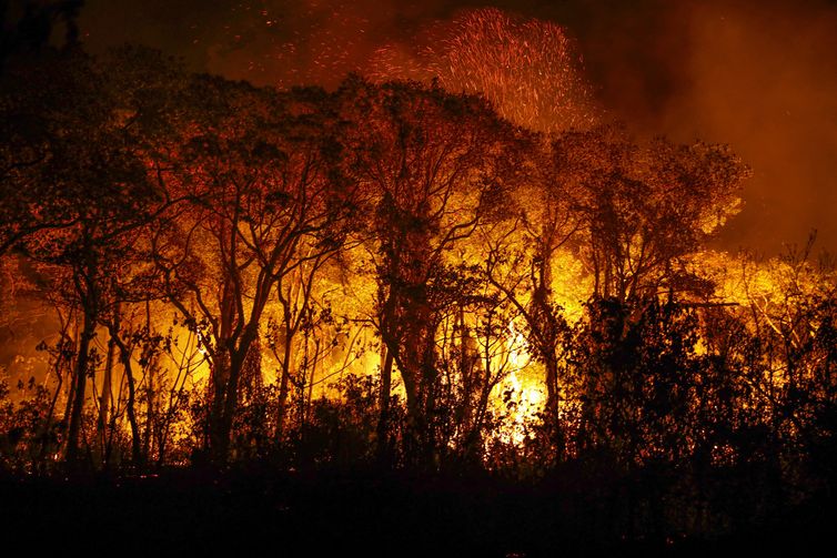 Defensoria Pública pede combate a incêndios em terras indígenas do MT 