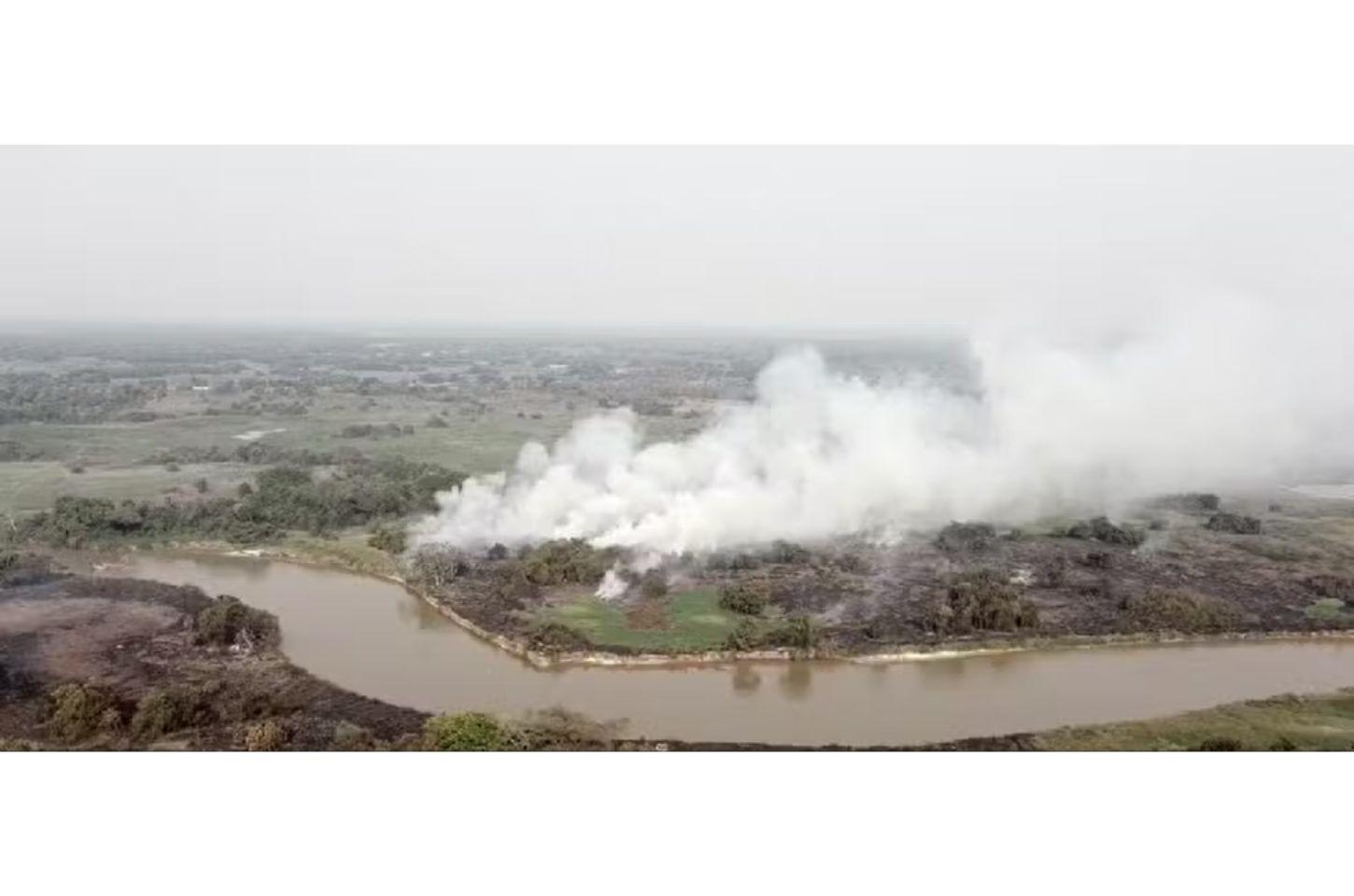 Queimadas criminosas: 17 pessoas são presas por causar incêndios florestais neste ano em MT