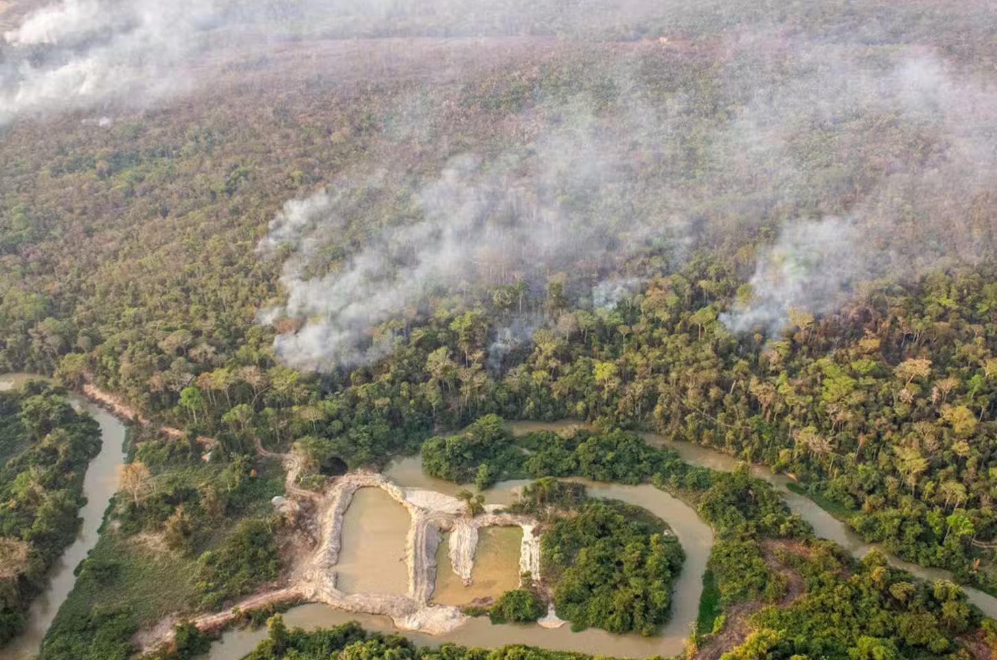 MT teve mais de 100 mil hectares devastados por fogo e extração de madeira em agosto, diz Imazon