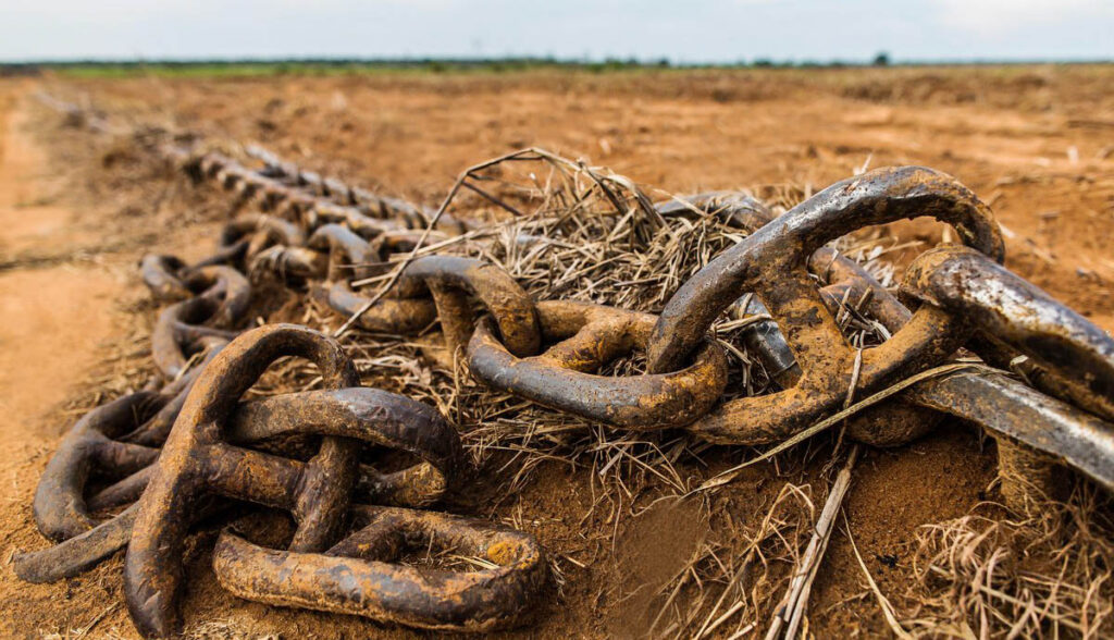 Reino Unido anuncia bloqueio a produtos agrícolas ligados a desmatamento
