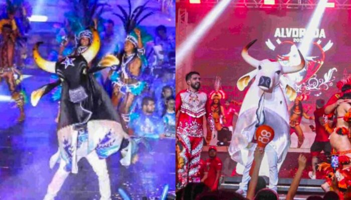 Caprichoso e Garantido disputam 59ª edição do Festival de Parintins